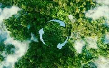 Abstract icon representing the ecological call to recycle and reuse in the form of a pond with a recycling symbol in the middle of a beautiful untouched jungle. 3d rendering.